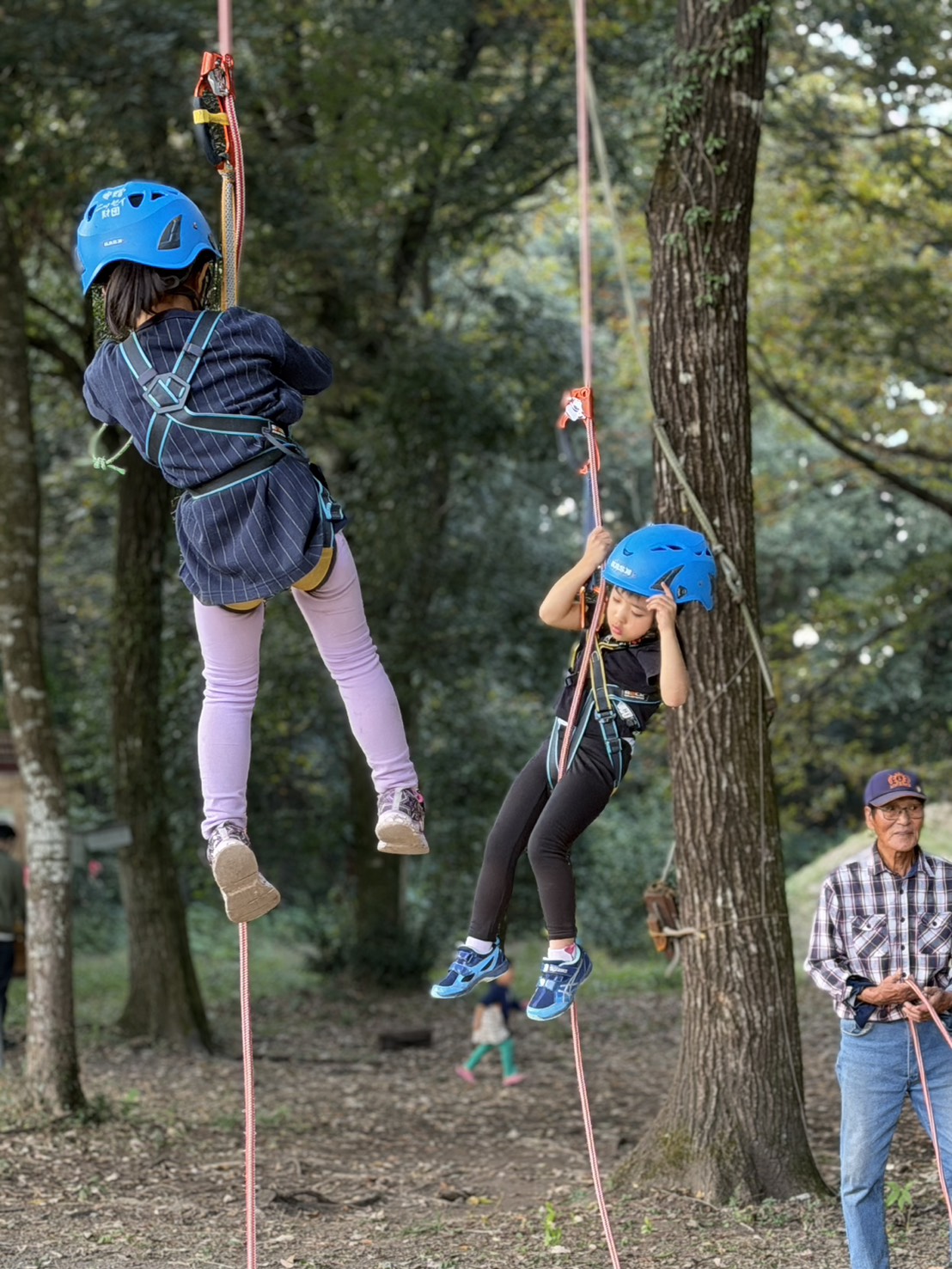 ツリークライミング