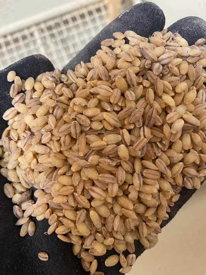 マルマメン工房