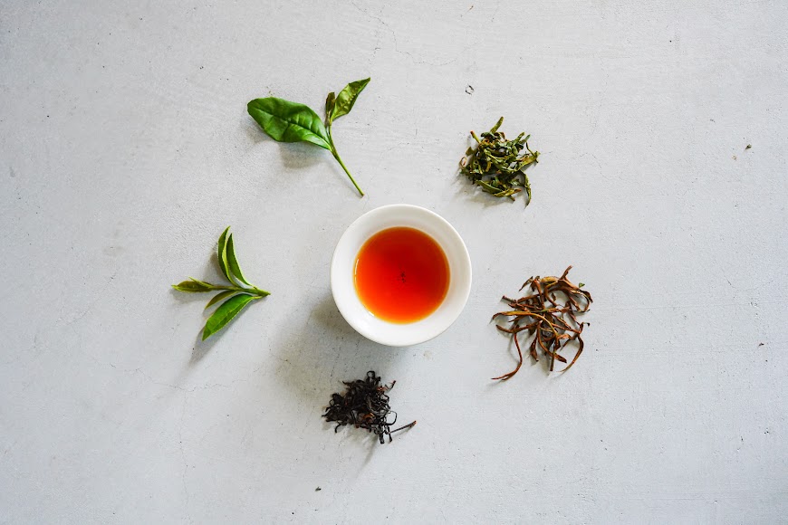 サロンドテ もりもっ茶